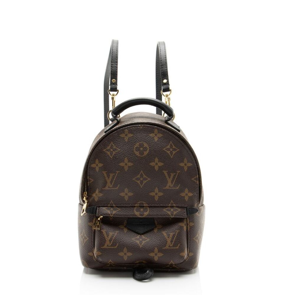 Louis Vuitton Monogram Canvas Palm Springs Mini Backpack